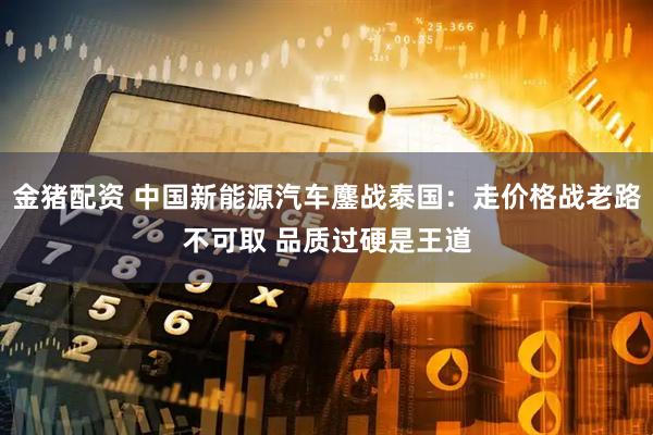 金猪配资 中国新能源汽车鏖战泰国：走价格战老路不可取 品质过硬是王道