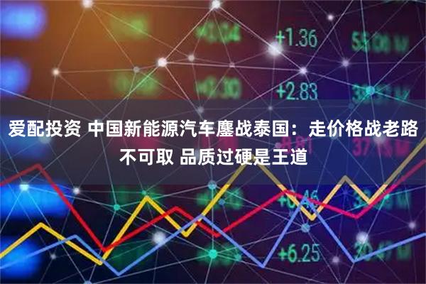 爱配投资 中国新能源汽车鏖战泰国：走价格战老路不可取 品质过硬是王道