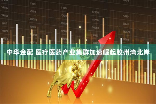 中华金配 医疗医药产业集群加速崛起胶州湾北岸