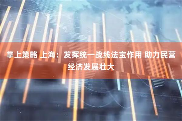 掌上策略 上海：发挥统一战线法宝作用 助力民营经济发展壮大