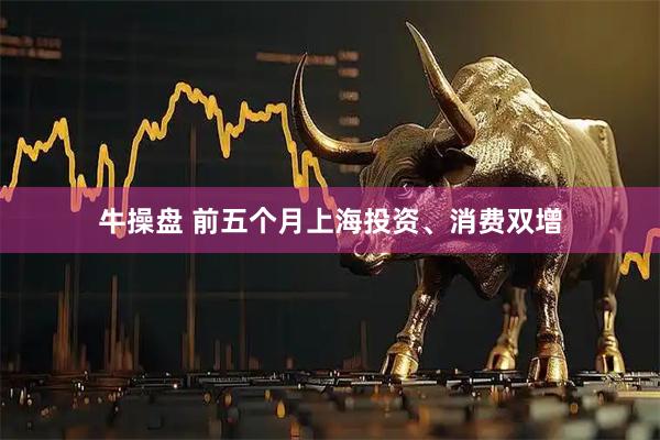 牛操盘 前五个月上海投资、消费双增