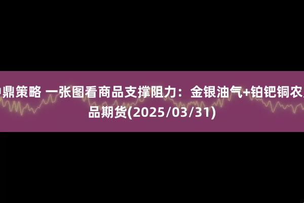 中鼎策略 一张图看商品支撑阻力：金银油气+铂钯铜农产品期货(2025/03/31)