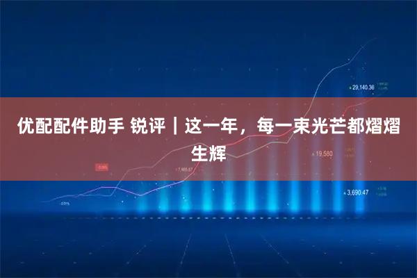 优配配件助手 锐评｜这一年，每一束光芒都熠熠生辉