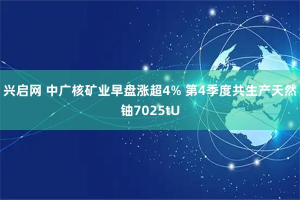 兴启网 中广核矿业早盘涨超4% 第4季度共生产天然铀7025tU